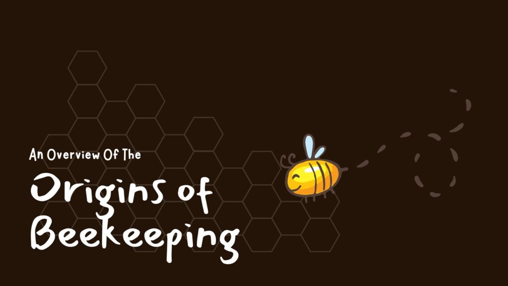Modern-day-beekeeping-and-bee-and-wasp-removal-is-not-possible-without-knowing-its-history